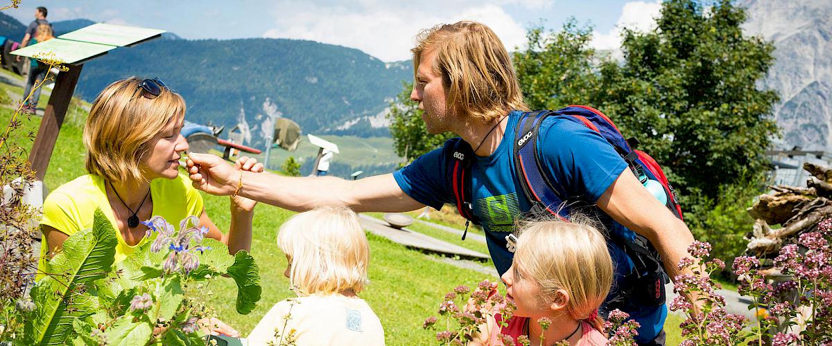 Sommer in Leogang Bild 1
