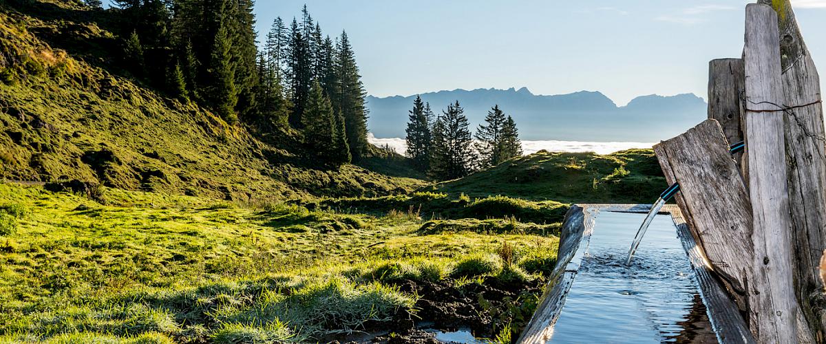 Sommer in Leogang Bild 3