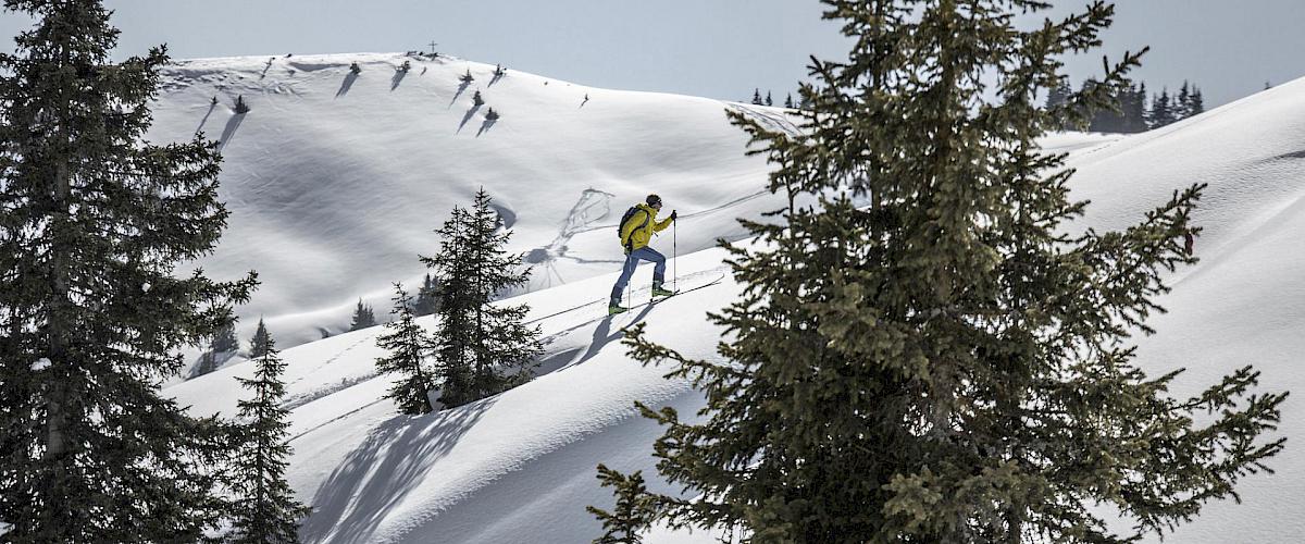 Winterseason in Leogang Picture 6